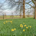 Historisches Mit Outdoor-sauna Ostenfeld