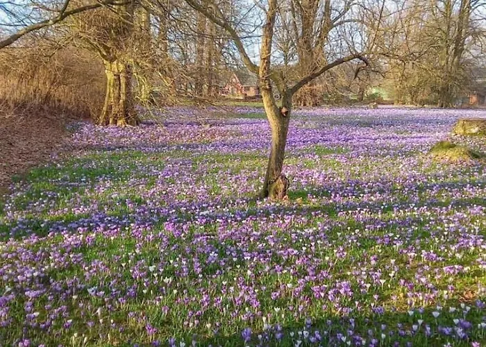 Historisches Mit Outdoor-sauna Feriehus