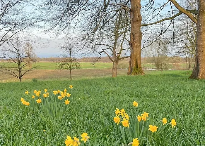 Historisches Mit Outdoor-sauna Ostenfeld (Nordfriesland)